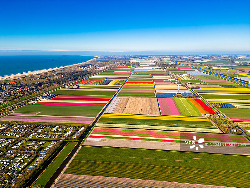 荷兰佩滕春天花田的鸟瞰图图片素材