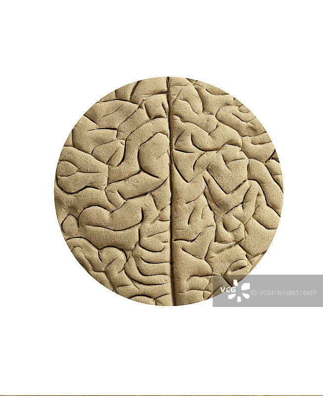沙子大脑图片素材
