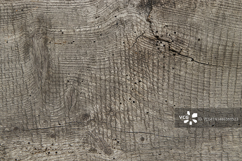 灰色调的天然木纹图片素材