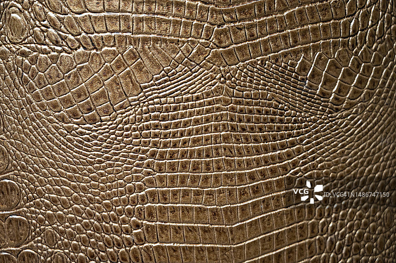 鳄鱼棕色皮革全画幅镜头图片素材