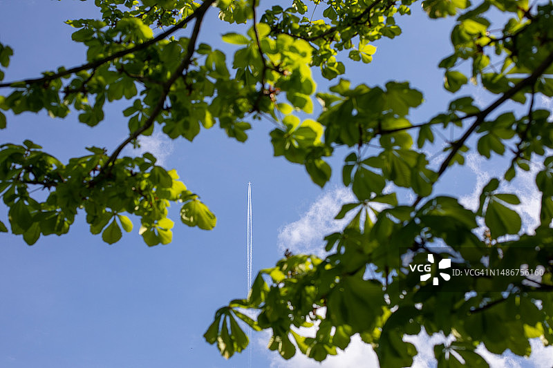 都柏林凤凰公园图片素材