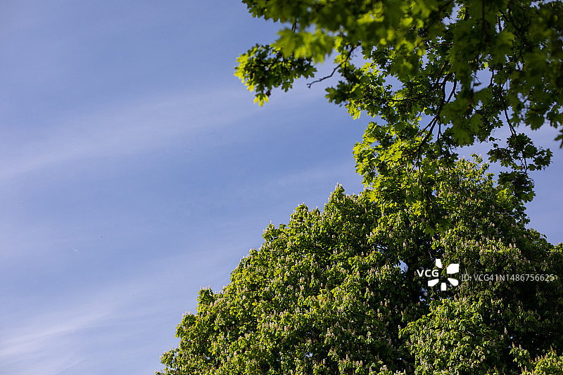 都柏林自然风光图片素材