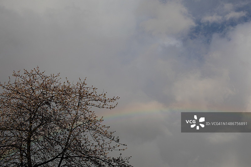 都柏林自然摄影图片素材