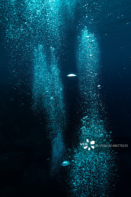 从海底吹泡泡图片素材