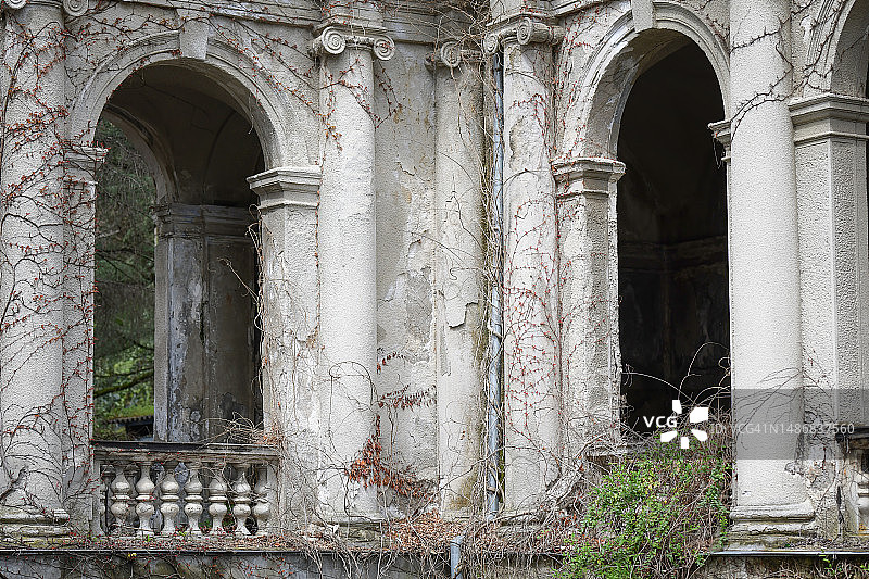 野生泥鳅的拱形开口图片素材