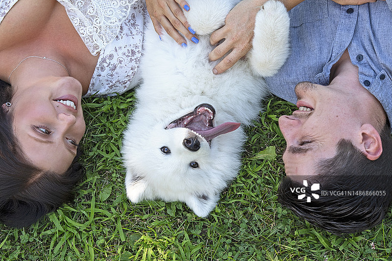 幸福夫妇和萨摩耶犬躺在草地上（加拿大渥太华）图片素材