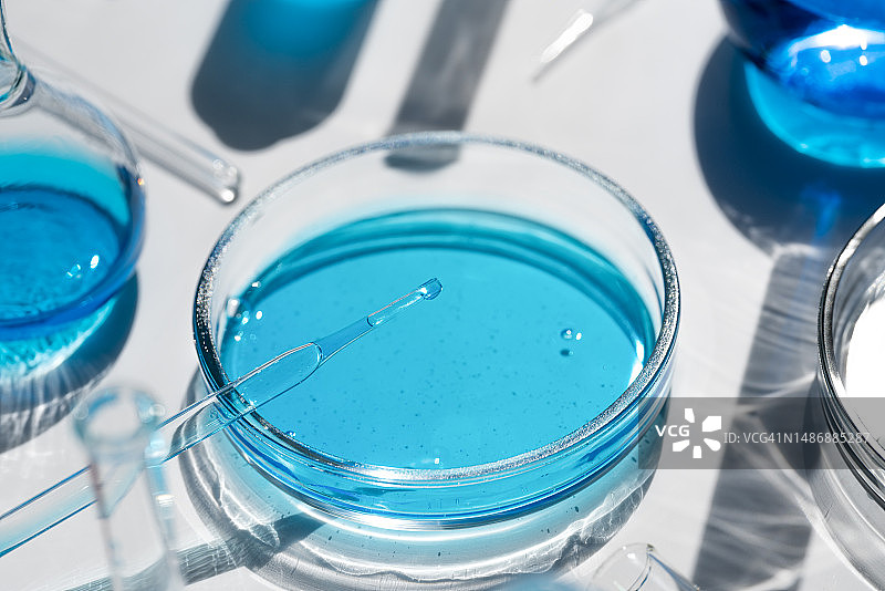 白色背景下的培养皿和烧瓶中的蓝色液体：化妆品和医药概念，实验玻璃器皿特写图片素材
