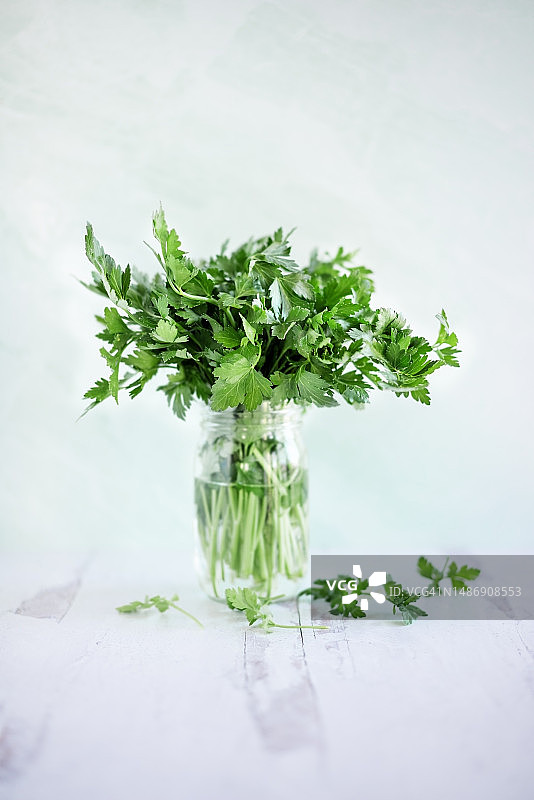 蓝色背景罐子里的新鲜欧芹图片素材