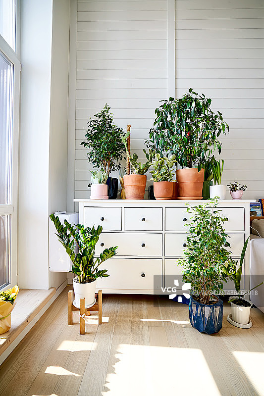 白色抽屉柜与手工花图片素材