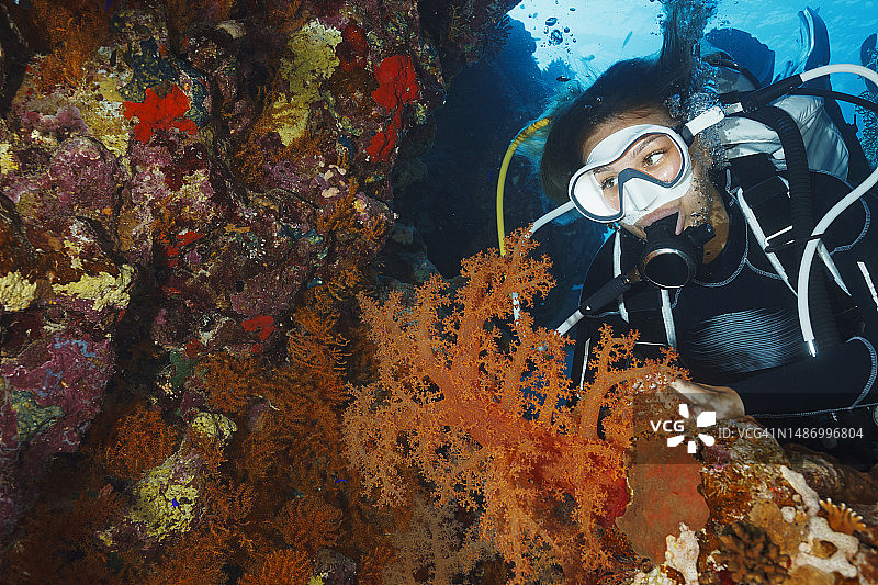 潜水：水下洞穴中的年轻女子，海底生物，珊瑚礁图片素材