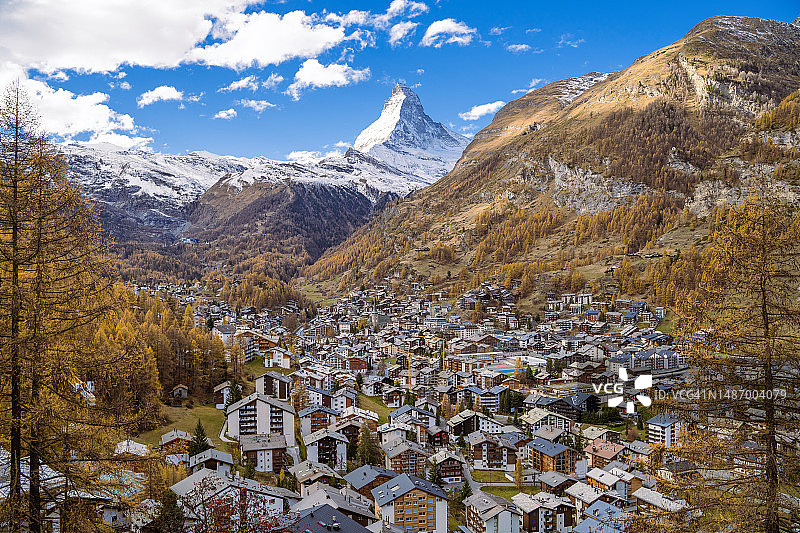 秋季在采尔马特欣赏被落叶松环绕的马特宏峰，瑞士瓦莱州图片素材