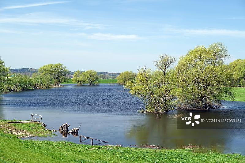 春天被洪水淹没的易北河牛轭湖，德国下萨克森州图片素材