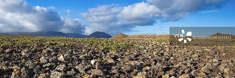 兰萨罗特岛蒙大拿布兰卡熔岩地衣景观（西班牙加那利群岛科斯塔特吉斯附近）图片素材