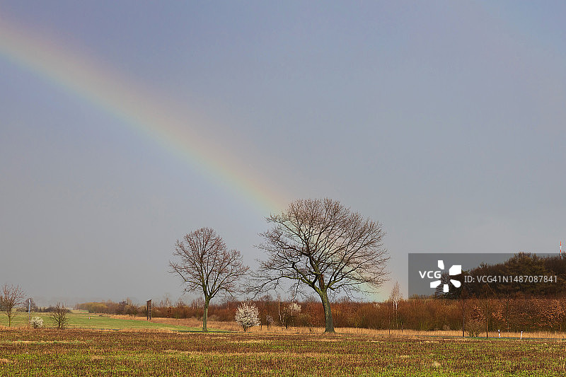 带光秃树木的彩虹图片素材