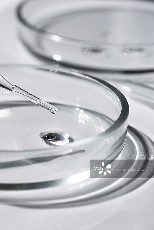 白色背景下培养皿和烧瓶中的液体图片素材