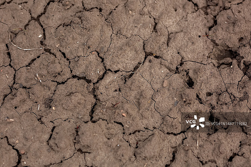 泥土纹理特写图片素材