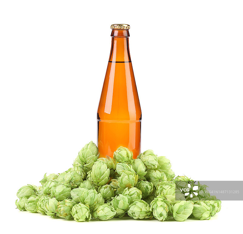 摩尔多瓦白色背景下瓶中食物特写图片素材