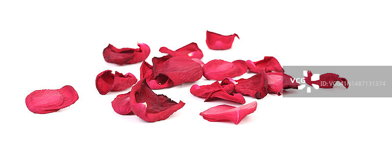 白色背景下的红色玫瑰花瓣特写，摩尔多瓦图片素材