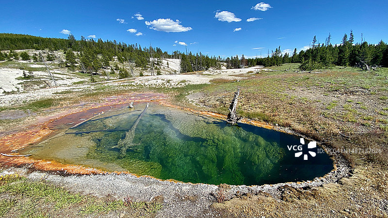黄石国家公园诺里斯间歇泉盆地图片素材