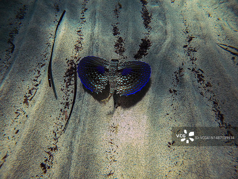 沙滩上人字拖的高角度视图图片素材