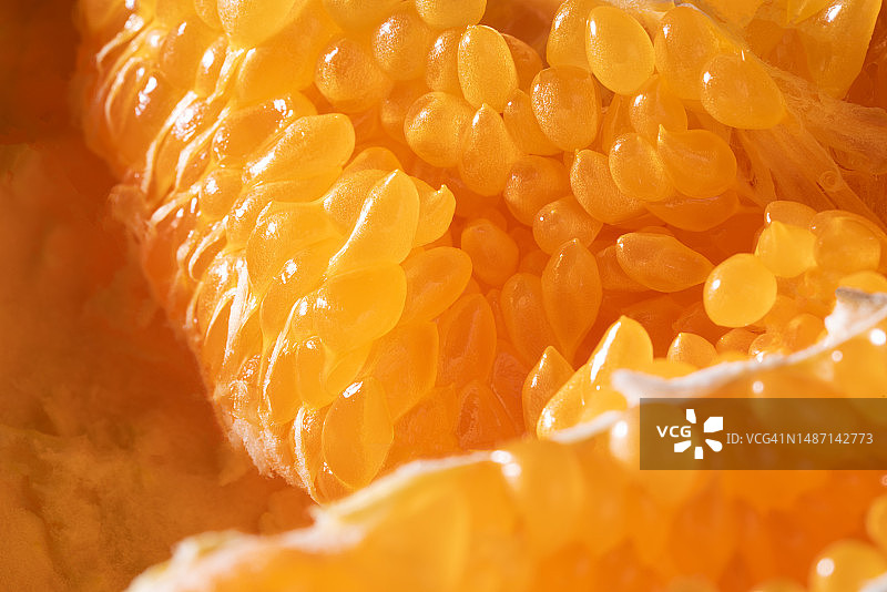 多汁的橘子果肉特写图片素材