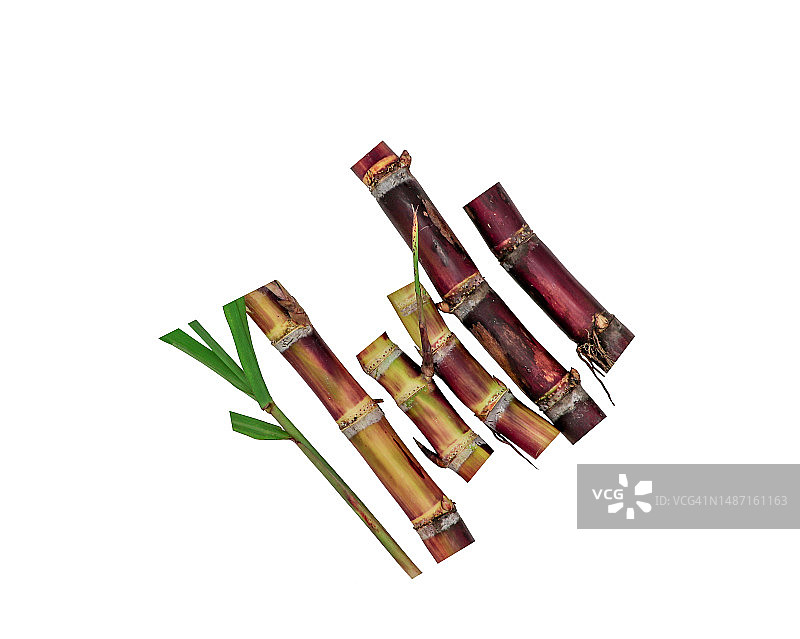 老挝甘蔗特写图片素材