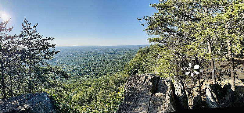 蓝天下的树木美景图片素材