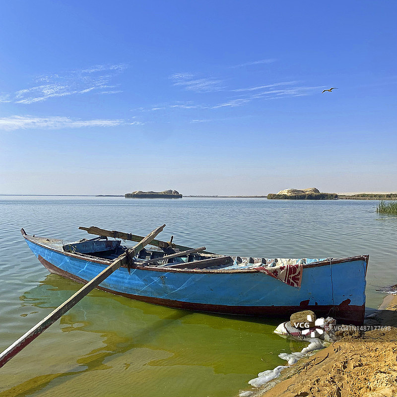 埃及法尤姆盖伦湖上的渔船图片素材