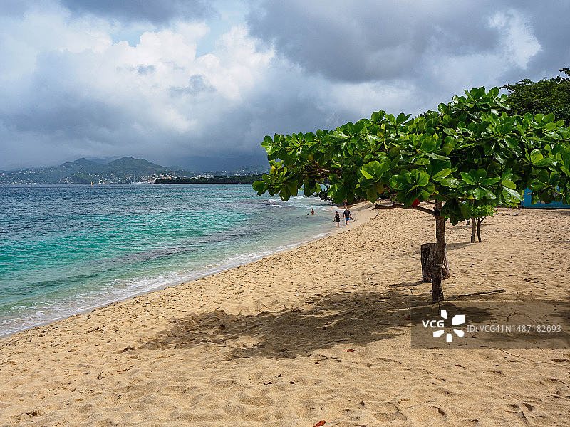 加勒比岛国格林纳达的杂志海滩图片素材