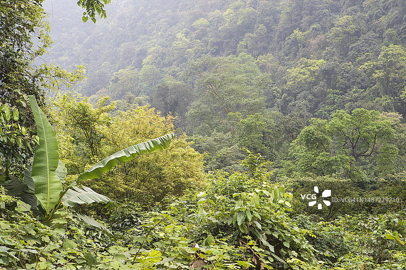 峰牙己榜国家公园图片素材