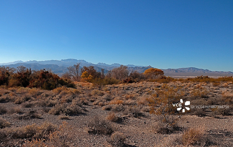 内华达州莫哈韦沙漠的沙漠国家野生动物保护区景观图片素材