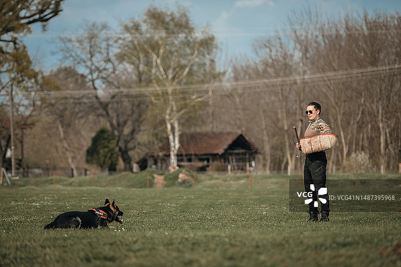 德国牧羊犬训练图片素材