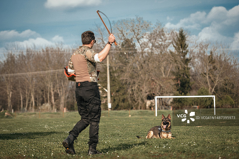 德国牧羊犬训练图片素材