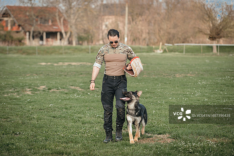 德国牧羊犬训练图片素材