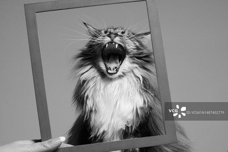 对着镜头微笑图片素材