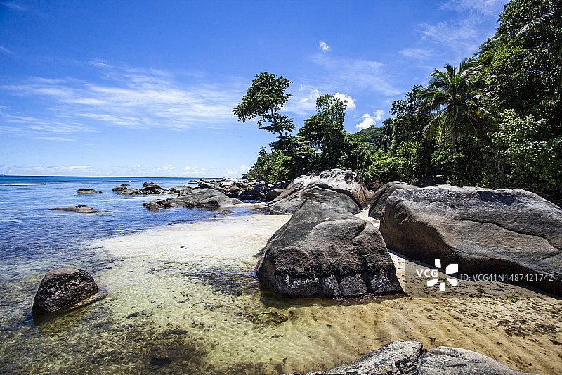 热带精选图片素材
