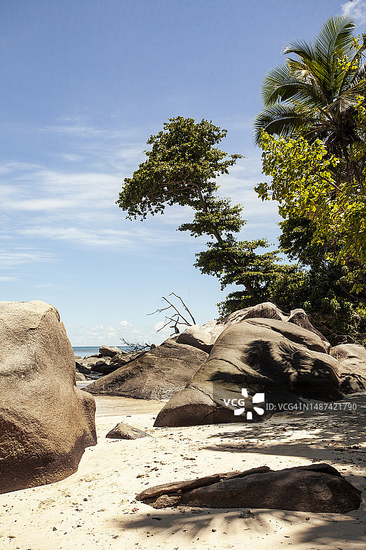 热带精选图片素材