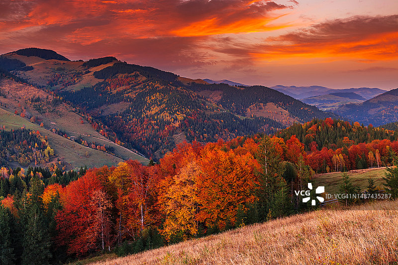 罗马尼亚特兰西瓦尼亚的秋季森林图片素材