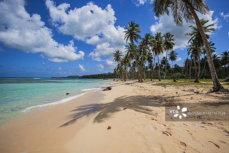 林孔海滩图片素材