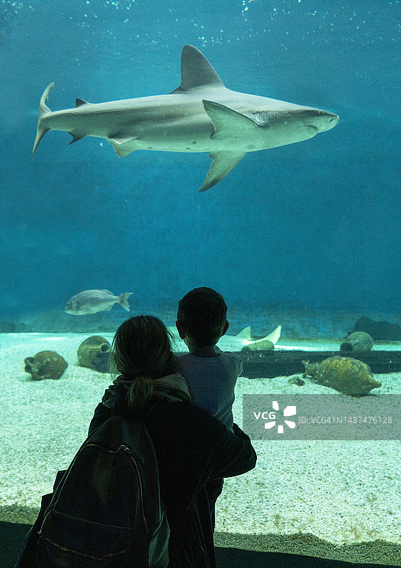 母子在水族馆观看鲨鱼图片素材