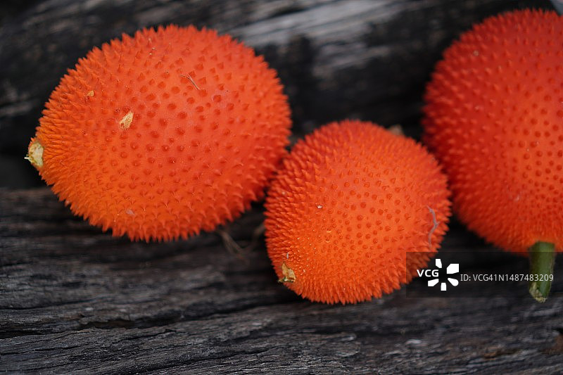 木鳖果、刺番荔枝、刺苦瓜、甜瓜图片素材