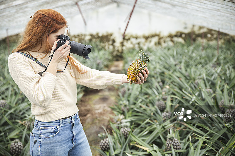 在温室里用相机拍摄菠萝的女人图片素材