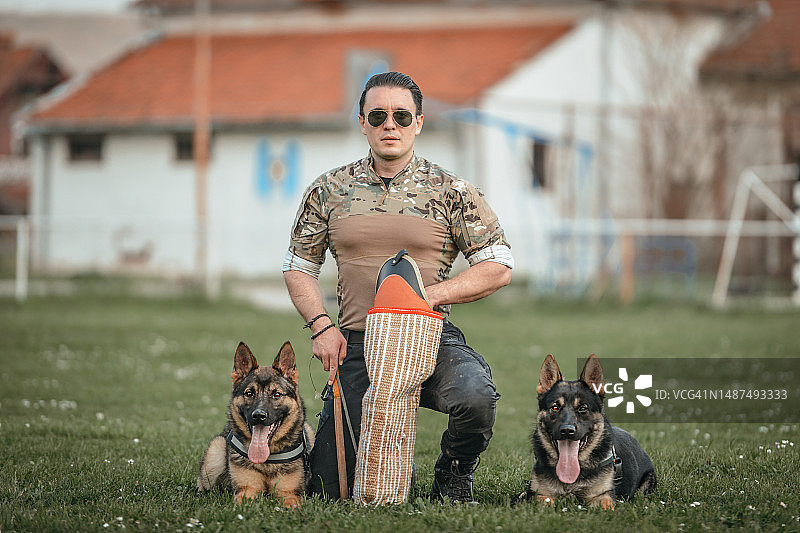 工作警犬图片素材