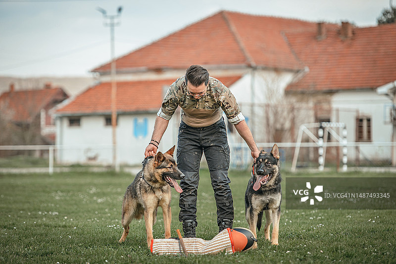 工作警犬图片素材