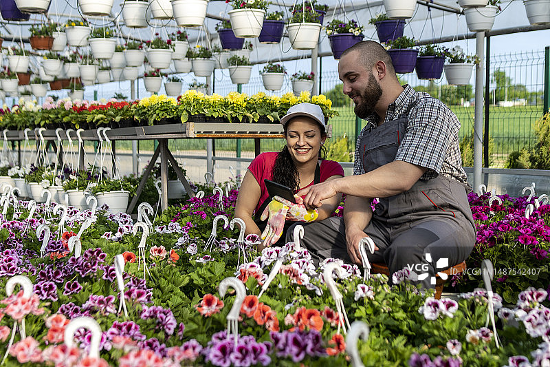 温室手工工人拿着装满鲜花的箱子图片素材