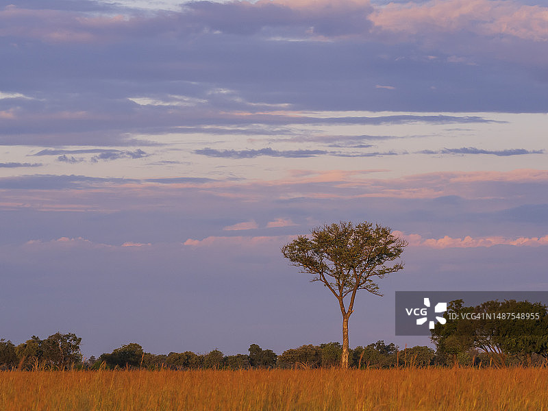 奥卡万戈三角洲的日出图片素材