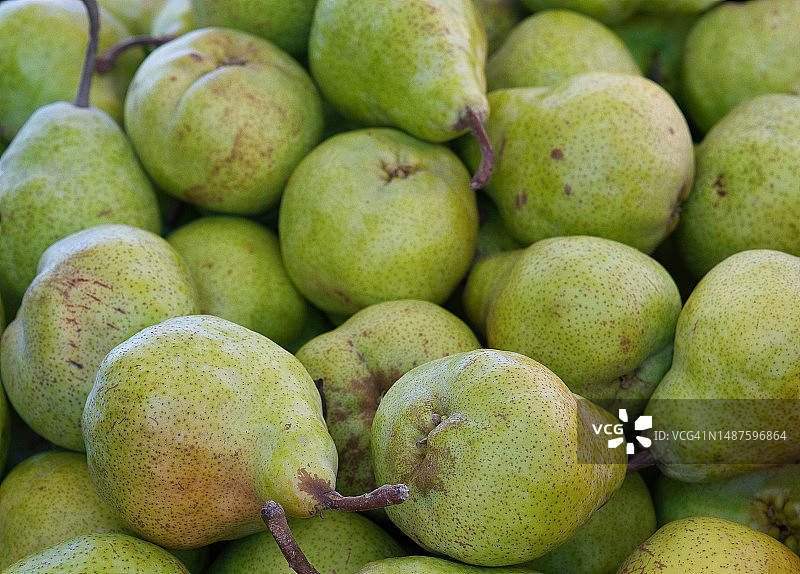 待售的梨图片素材