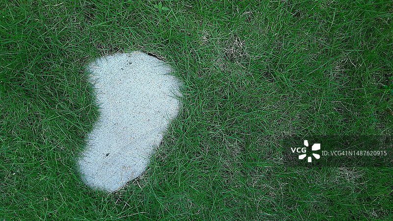 有绿色草坪的花园图片素材