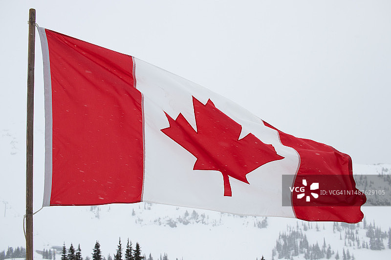 加拿大的国旗图片素材