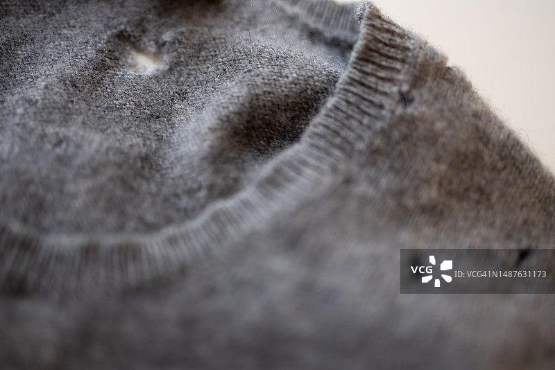 羊绒衫上的飞蛾损坏图片素材